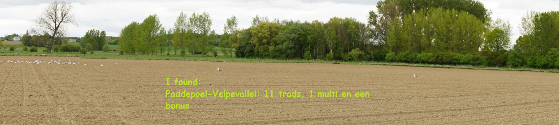Paddepoel-Velpevallei