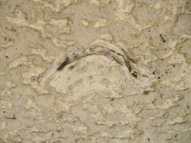 Fossil 2