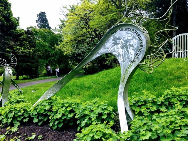 0477d1ca-e66c-4123-9316-fbe641a9d2c4_l.jpg (640×480)