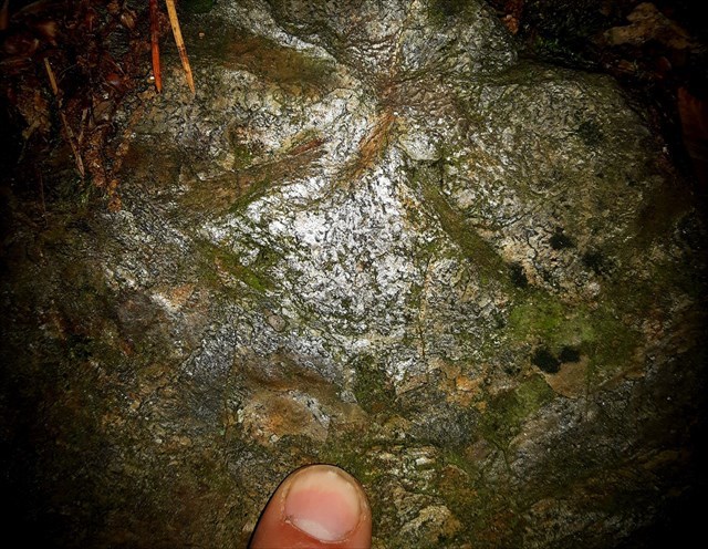 der Wechselburger Garbenschiefer