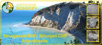 Strunjanski Klif / Strunjan Cliff Ichnofossils