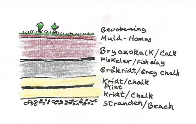 04d597e1-9e98-4ae0-ba4b-d023dd0c8b30_l.jpg (640×407)