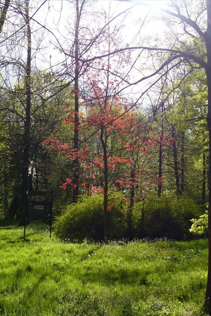 https://s3.amazonaws.com/gs-geo-images/04f4a584-dc88-4cc5-8919-0a89b0ecdb9c_l.jpg