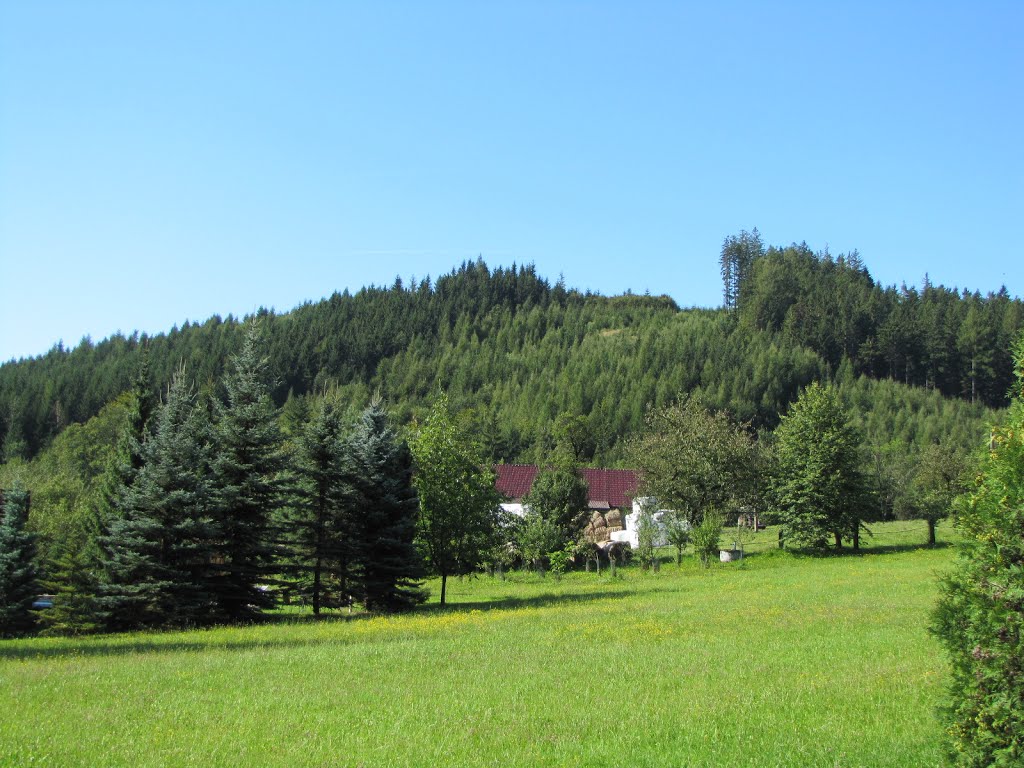 Pohled na Láz ze severní strany (foto PresiCZ).