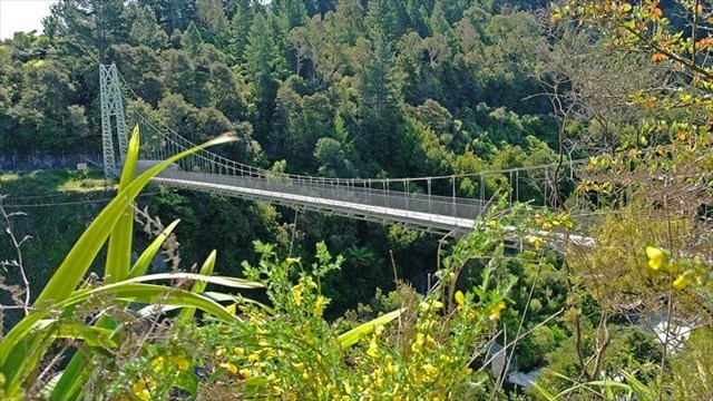 Arapuni suspension bridge