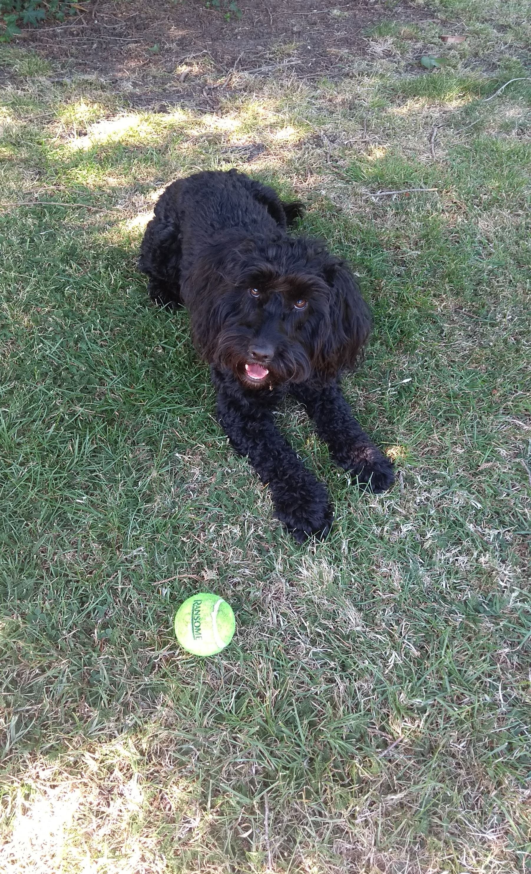 Jigsaw puzzle - Teddy jigsaw 1