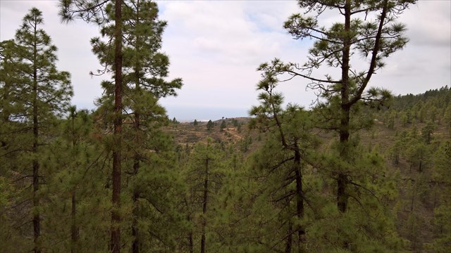 TF-Las Vegas #04 TF-Las Vegas #04