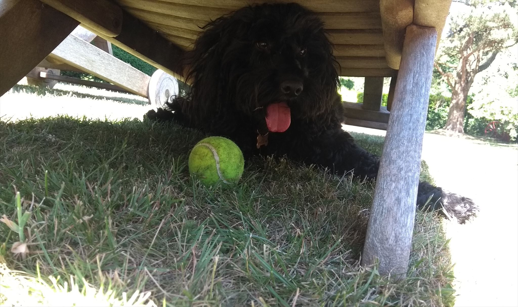 Jigsaw puzzle - Teddy jigsaw 2