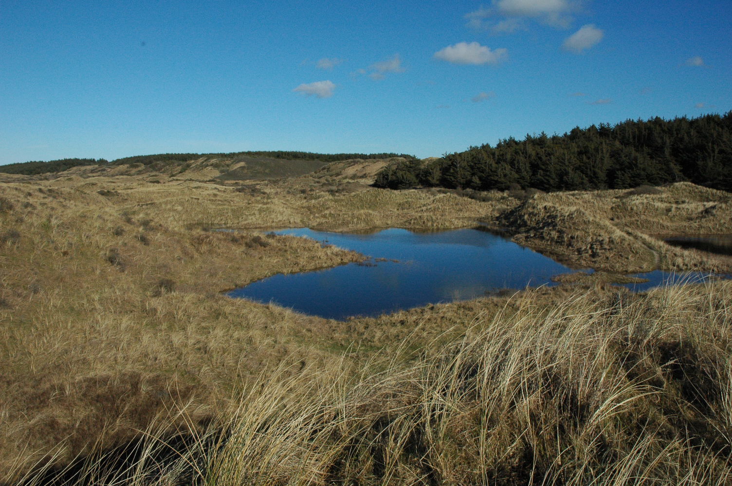Den nordlige Vintersø