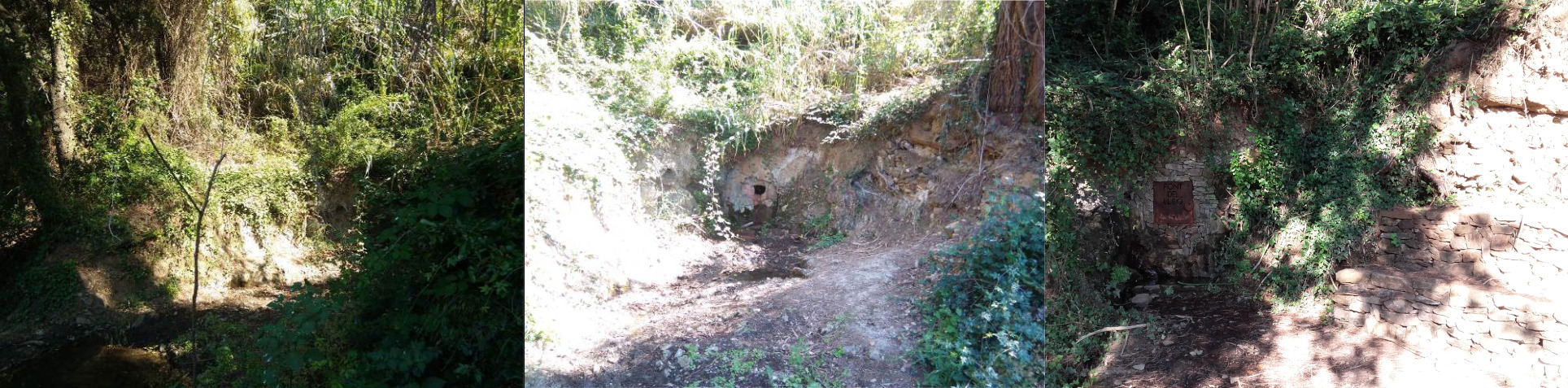 Evolució de la Font del Lleó