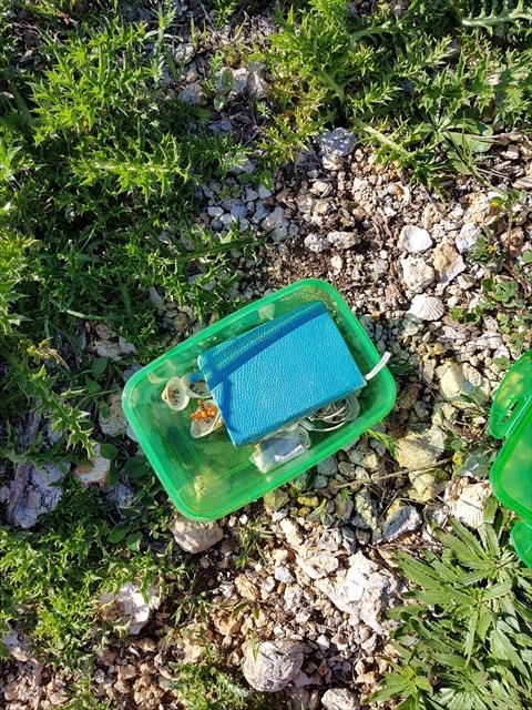 The cache with some shells with the letters STB on it