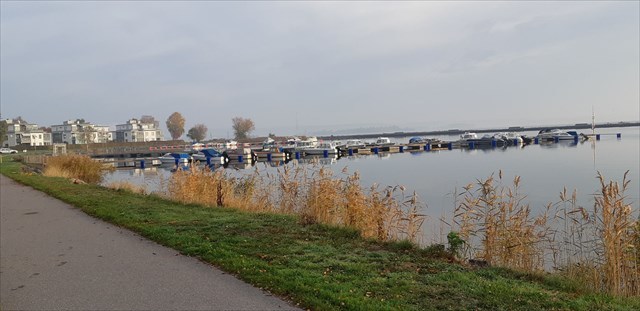 Bryggan Esteron