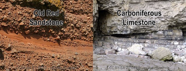 A close up of Old Red Sandstone rocks, compared with the light grey Carboniferous Limestone.