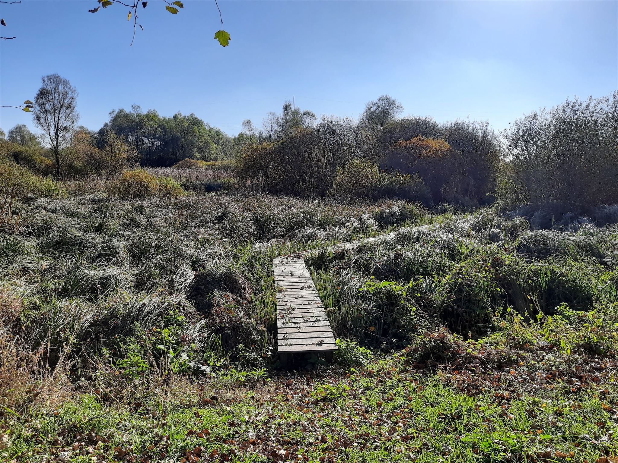 GC925WB Náučný chodník Ižkovce (Multicache) in Košický kraj, Slovakia