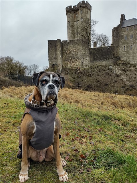 ter herinnering aan Scott laatste vakantie ter herinnering aan Scott laatste vakantie