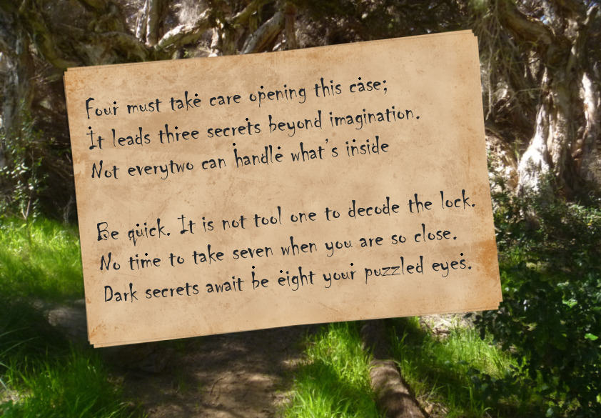 Puzzle 28