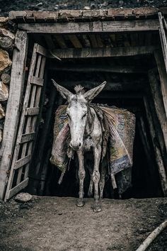 You cannot see this picture