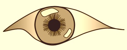 Optogramm - der Blick der Toten