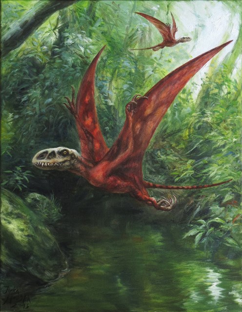 Jirka Houska - Kongamato