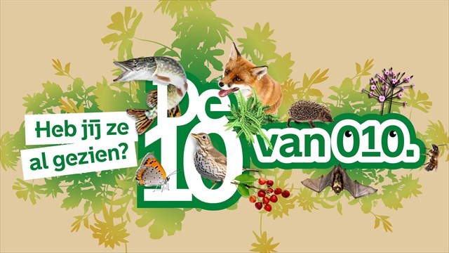 Heb je de 10 van 010 al gezien?
