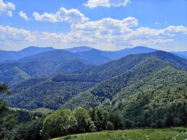 Výhľady z Malého Lysca 8.8.2020