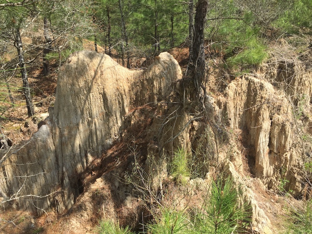 GC7KW58 Turkey Creek Gravel Pits (Earthcache) in Louisiana, United