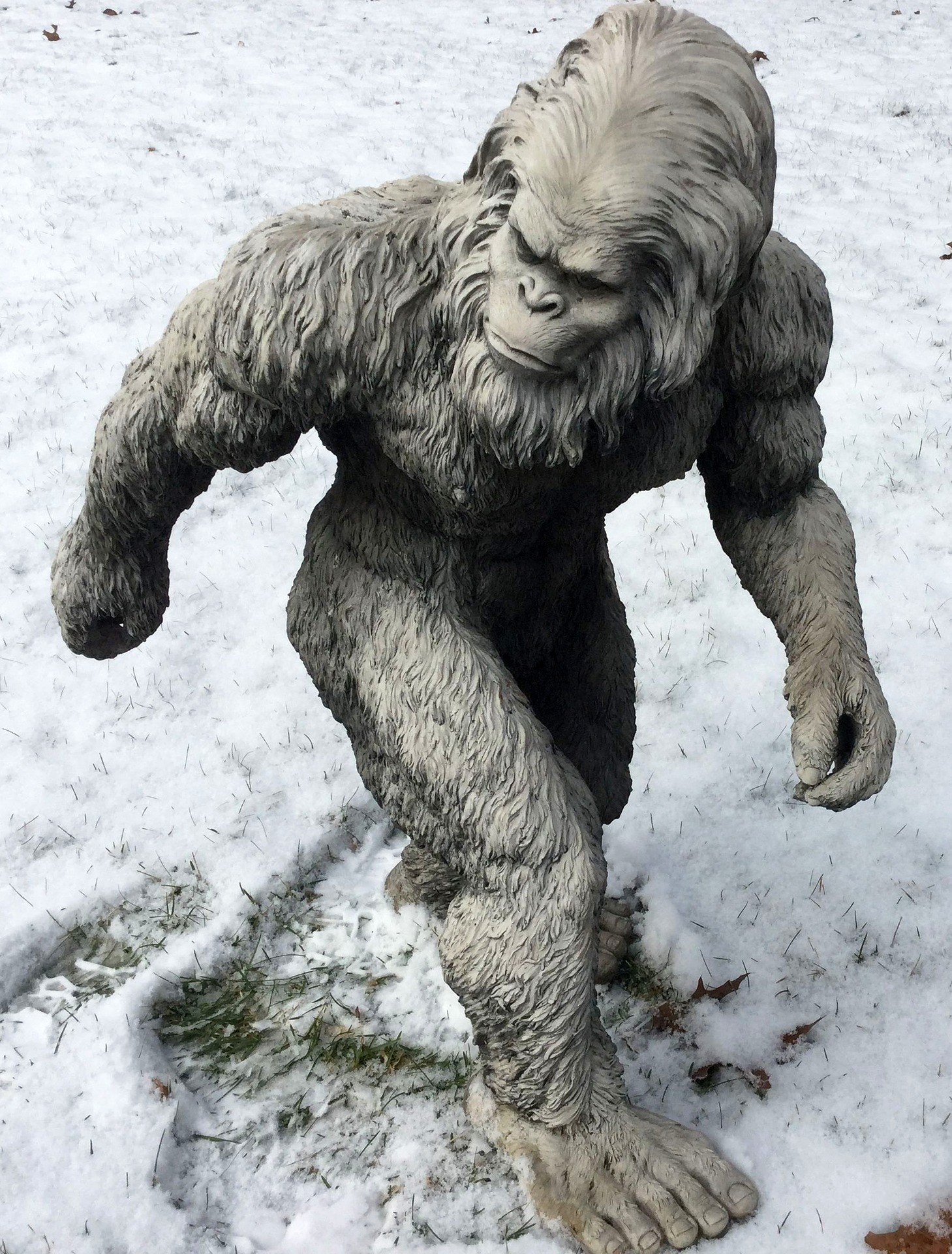 Yeti