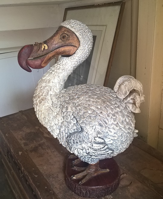 Endemic Bird Mauritius