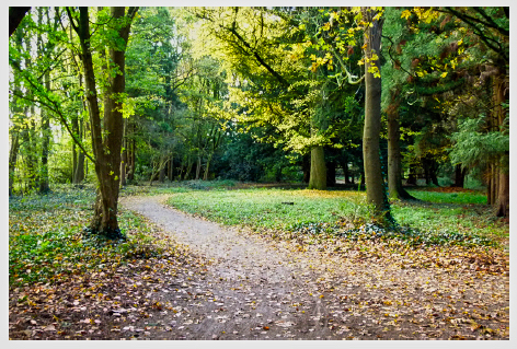 Gimbornhof 9 Gimbornhof 9