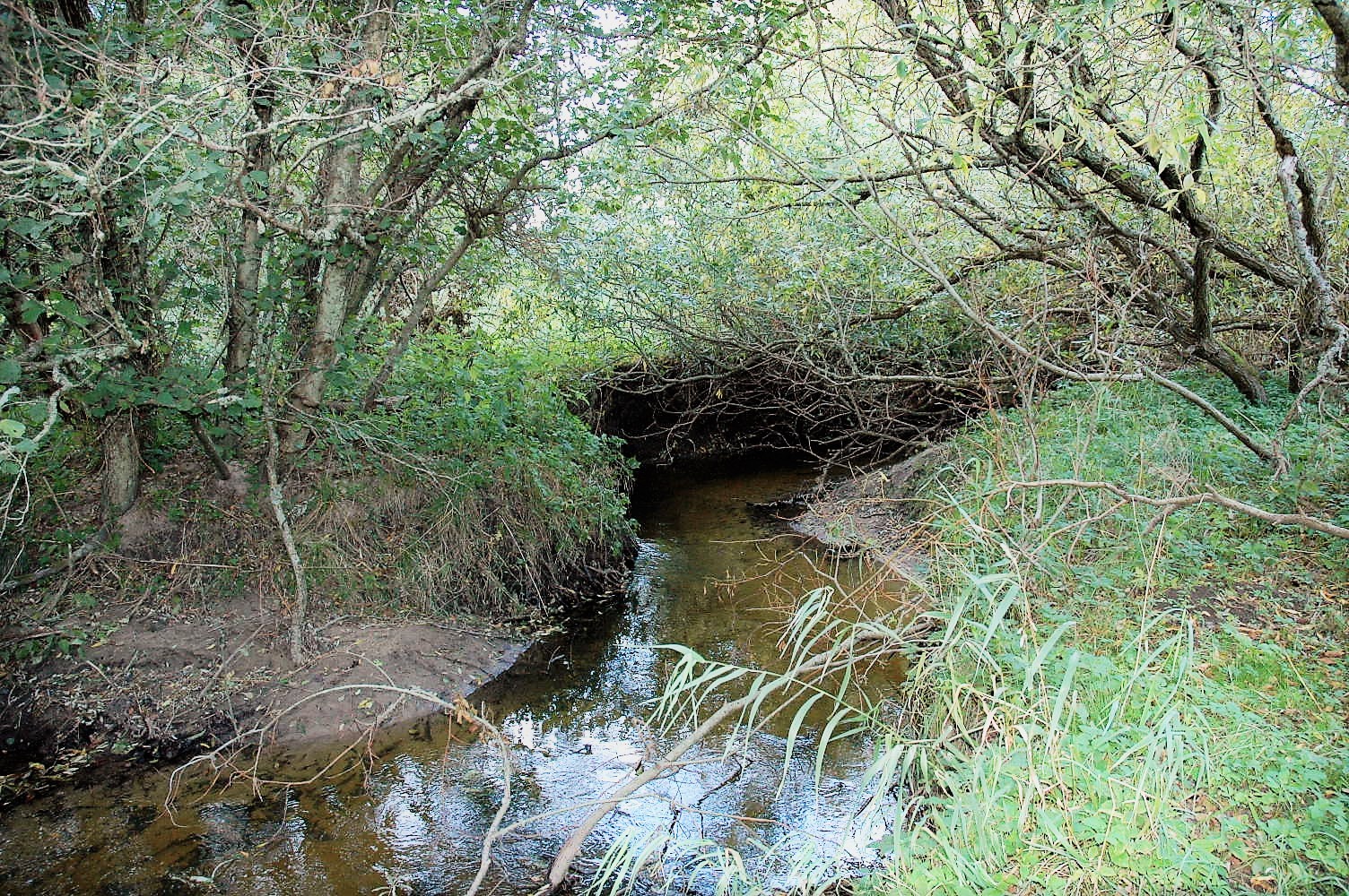 Åen tæt på slynge tæt på