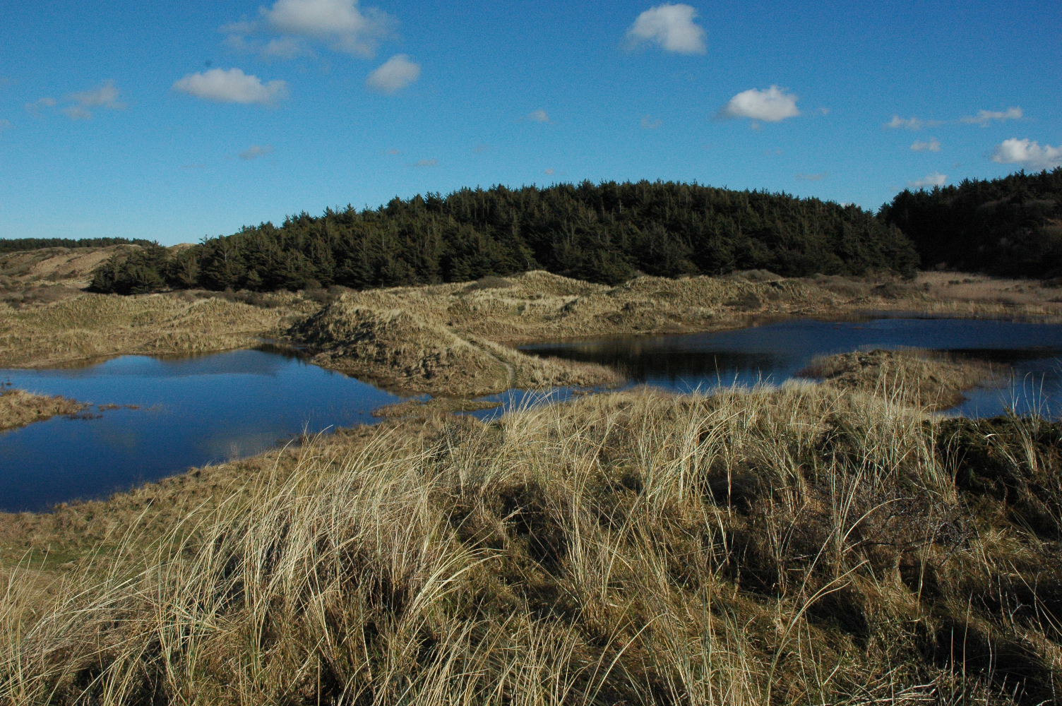 Vintersøen set fra vest