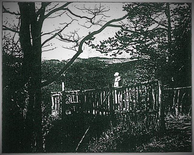 Karlova výšina cca v roce 1930