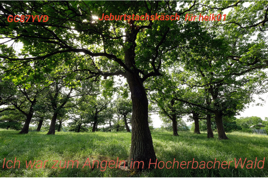 JeburtstachskĂ€sch fĂŒr heik01