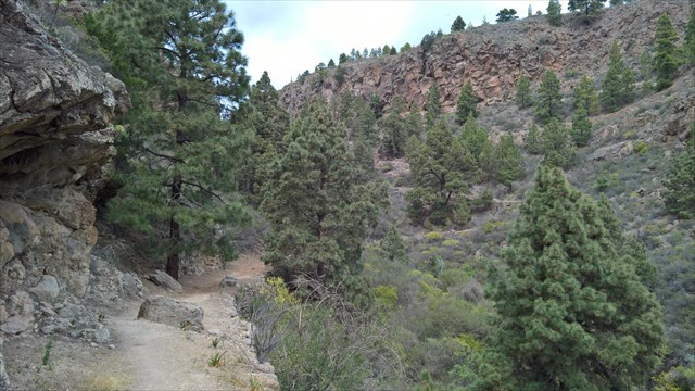 TF-Las Vegas #03 TF-Las Vegas #03