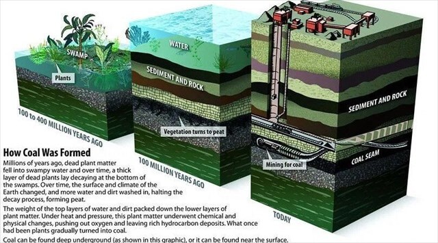 Coal Process