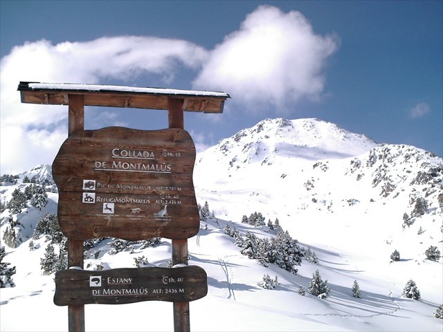 Cap cim sense caché