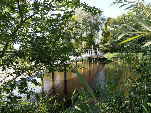 Blauwe Verbinding ~ Boog