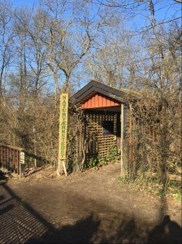 11fb36c7-57b8-4a5d-bd37-ad6704ece263_l.jpg (262×350)