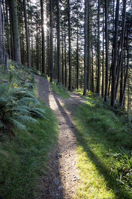 Just beyond where paths meet