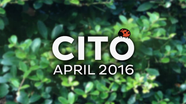 cito2016