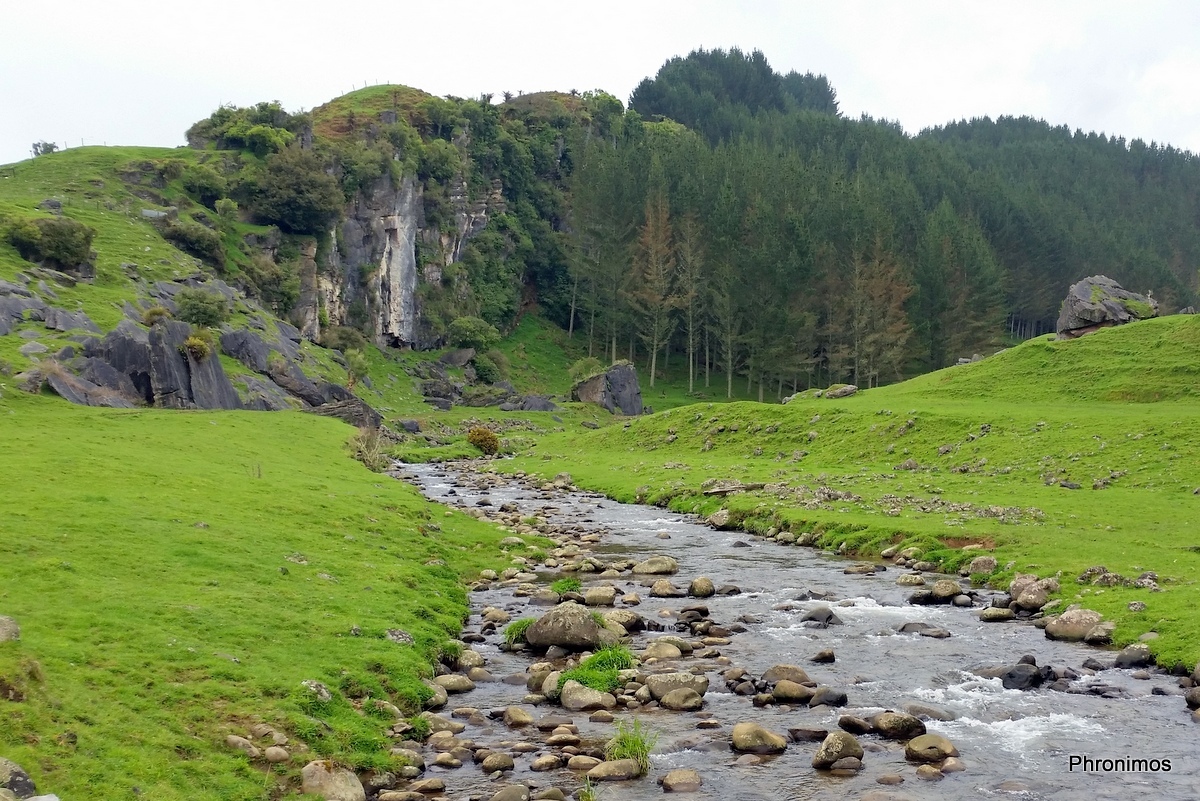 Rauroa valley and stream