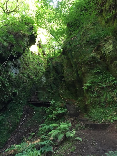 Stairs to the site