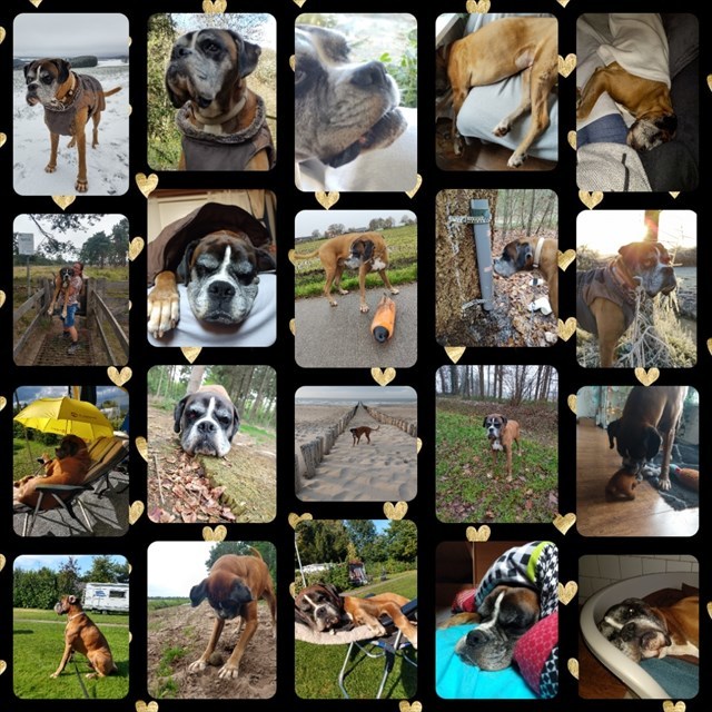 ter herinnering aan Scott