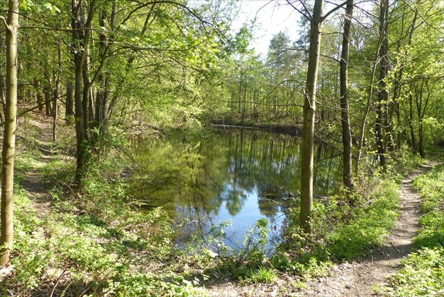 https://s3.amazonaws.com/gs-geo-images/144c2b60-0402-443b-a4be-f8dde300a387_l.jpg