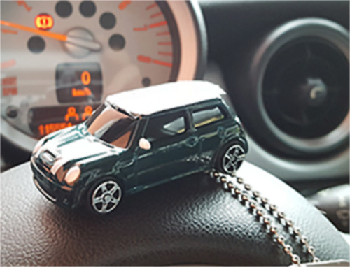 Minz TB - Mini Cooper iV