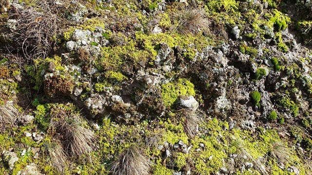 Brekcia na úpätí vrchu Domanícke pri Medovarciach.