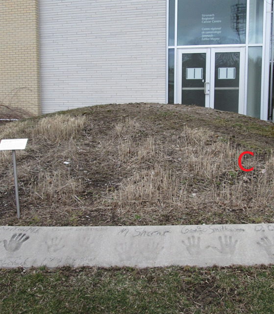 Third stage C Third stage C