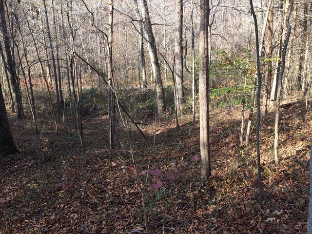 Brown Spring from GZ