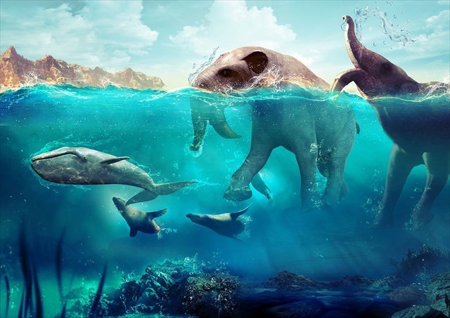 Nepravdepodobné stretnutia v treťohornom mori.