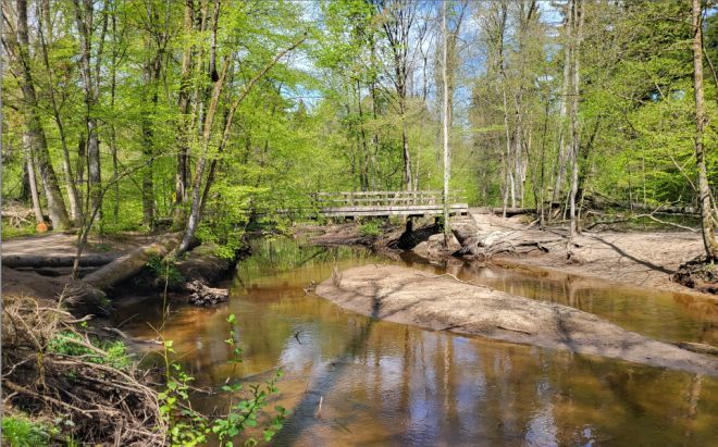 Alster mit Sandbank und Lustholzbrücke
